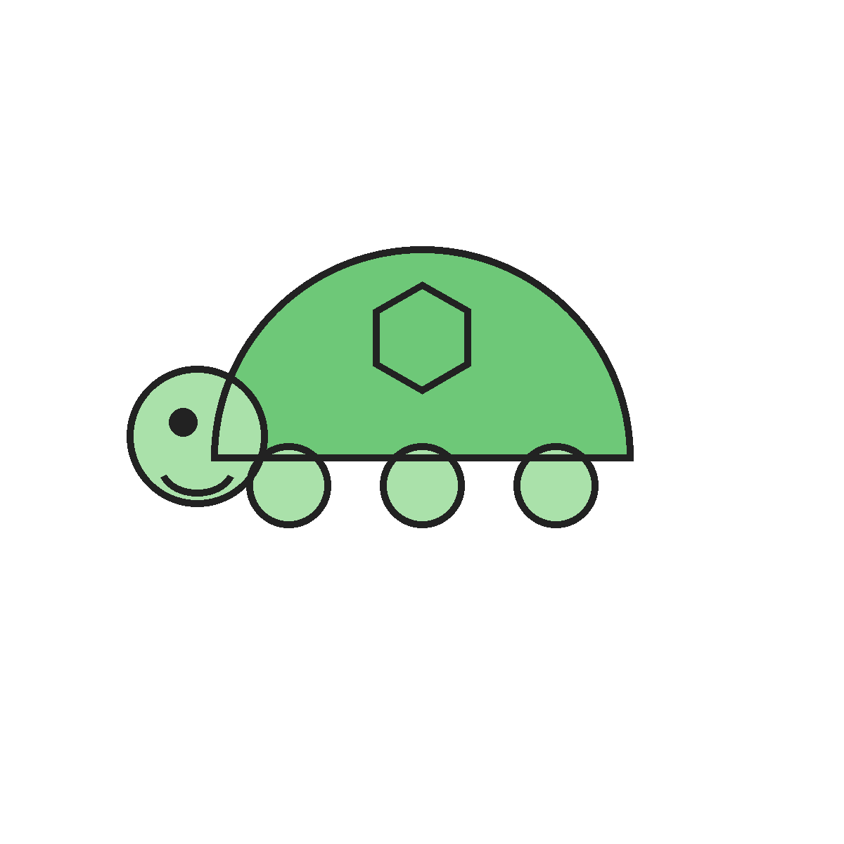 Finished colored drawing: How to Draw a Turtle