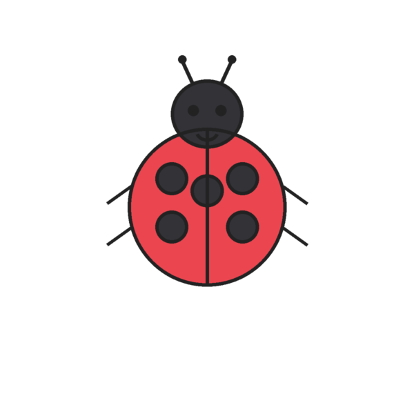 How to Draw a Ladybug