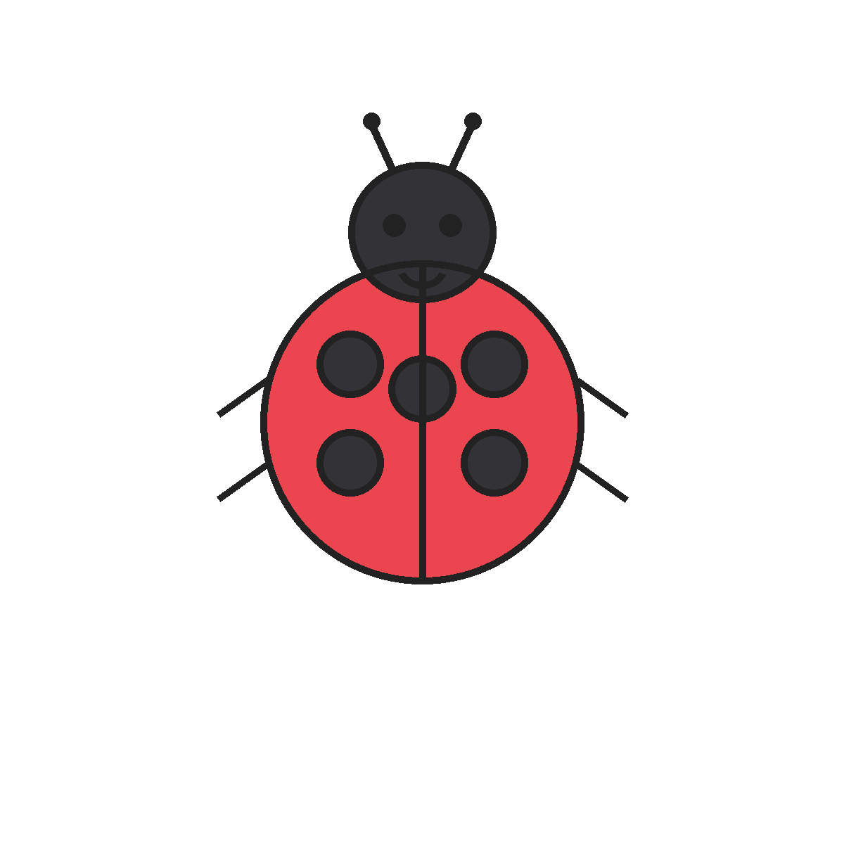 Finished colored drawing: How to Draw a Ladybug
