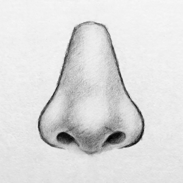 How to Draw a Nose