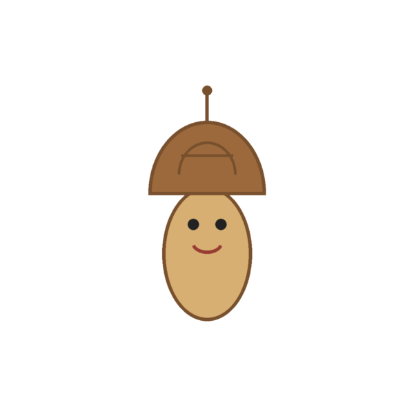 How to Draw an Acorn