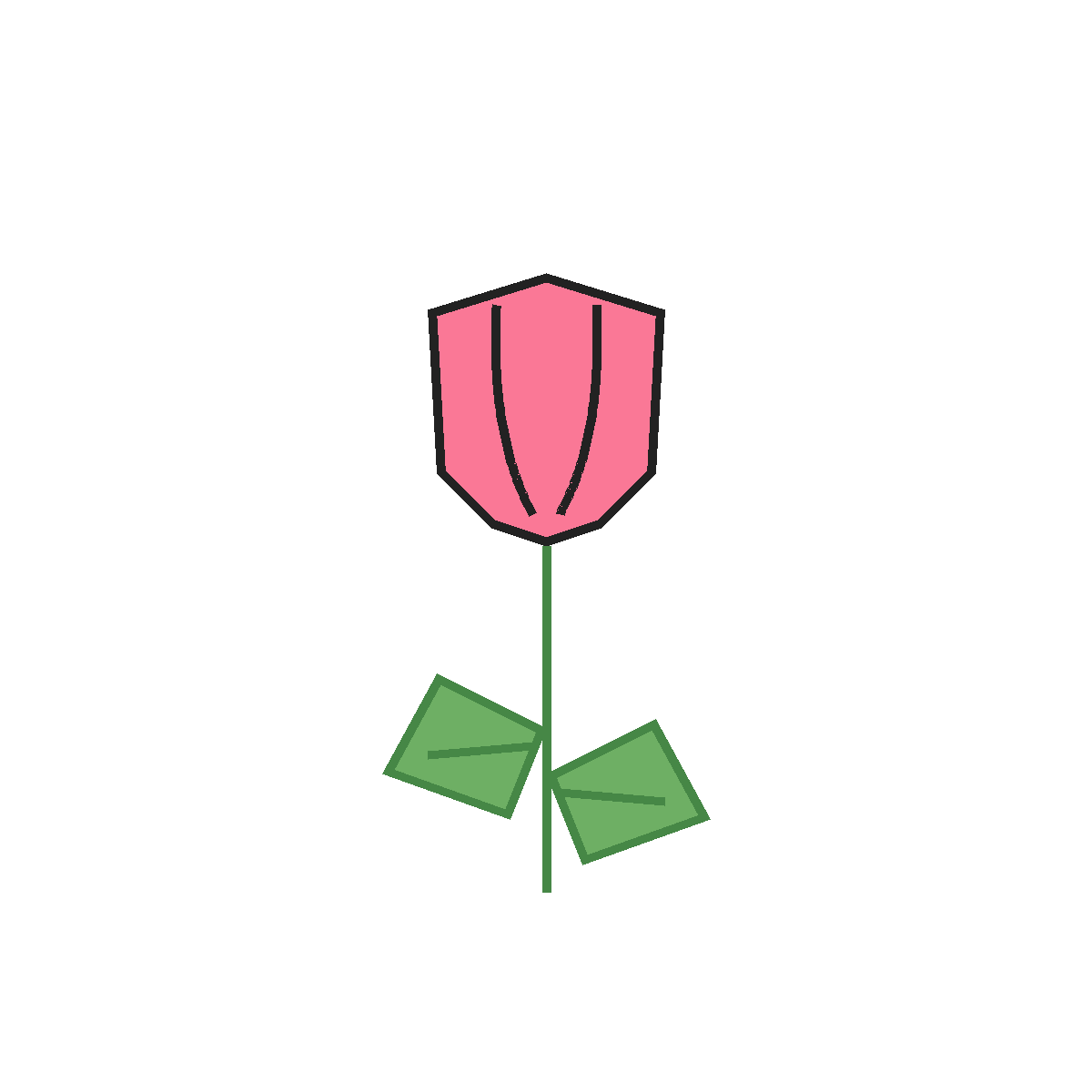 Finished colored drawing: How to Draw a Tulip