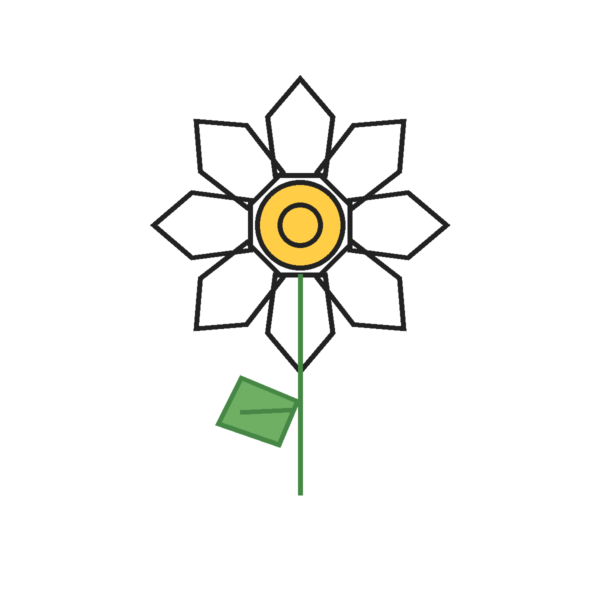 How to Draw a Daisy
