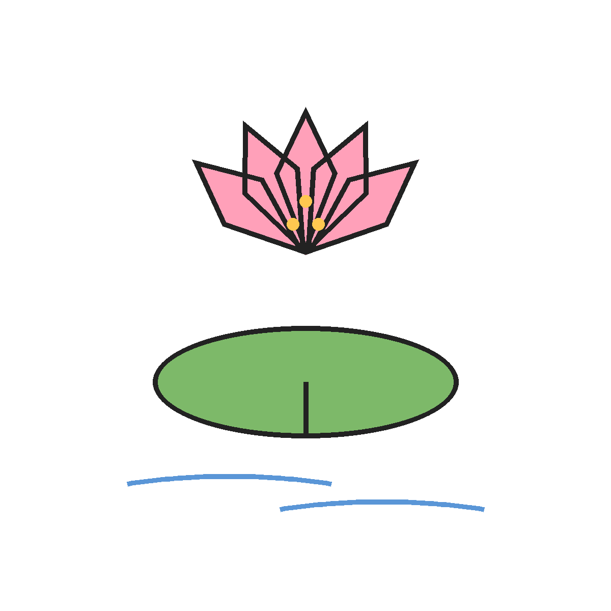 Finished colored drawing: How to Draw a Lotus