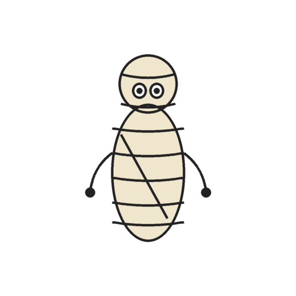 How to Draw a Mummy