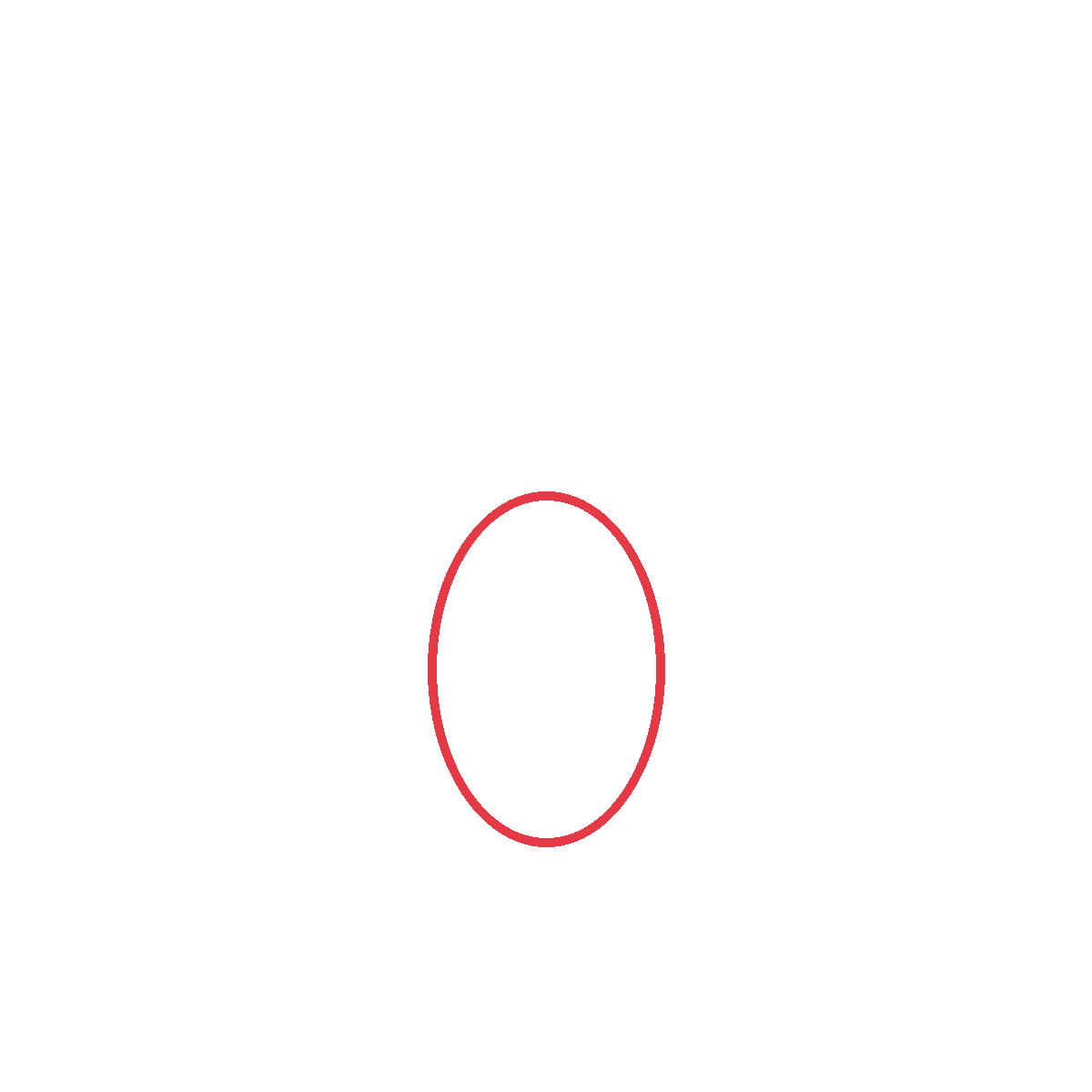 Draw a tall oval for the acorn's body.