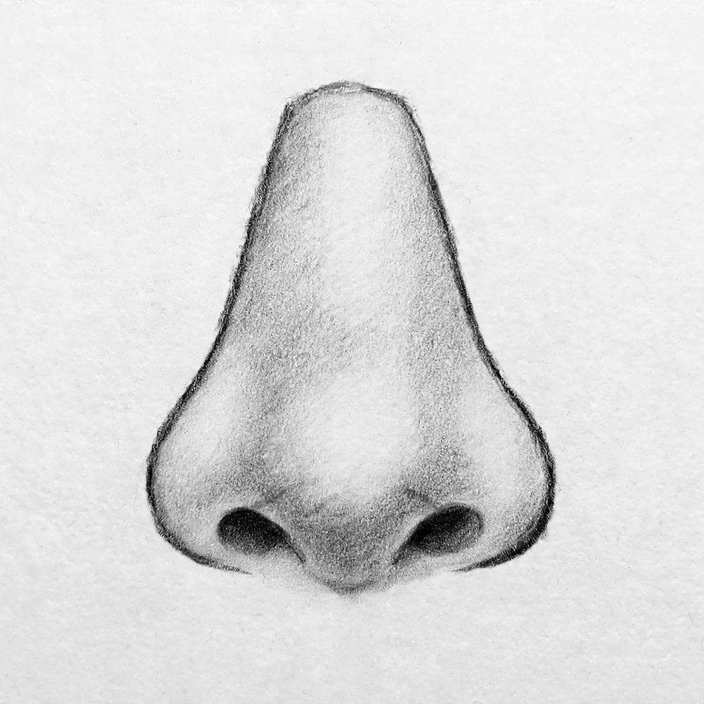 How to Draw a Nose — step 10