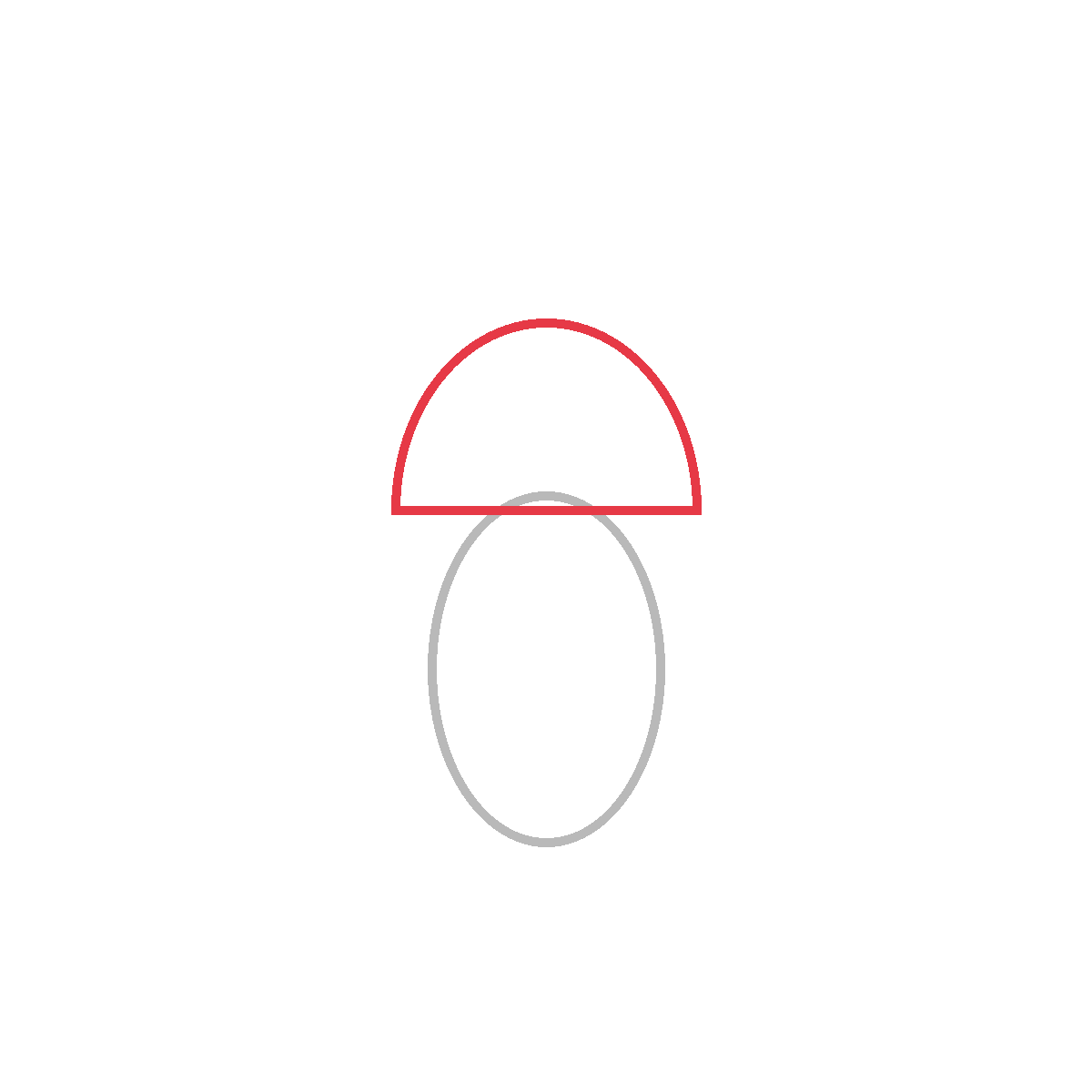 How to Draw an Acorn — step 2