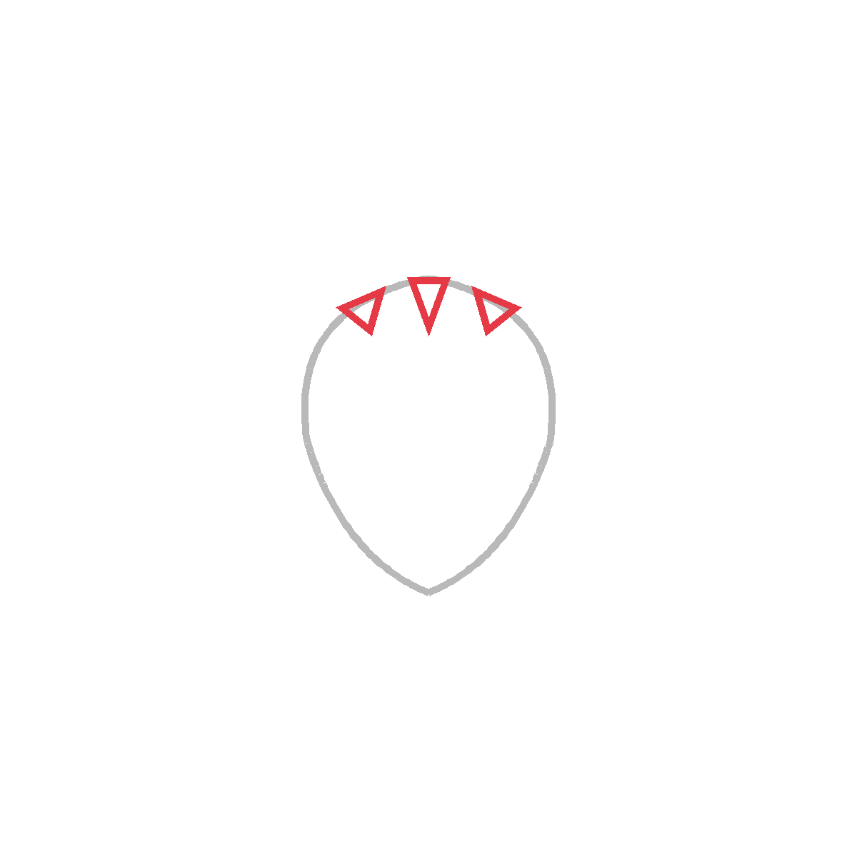 How to Draw a Strawberry — step 2