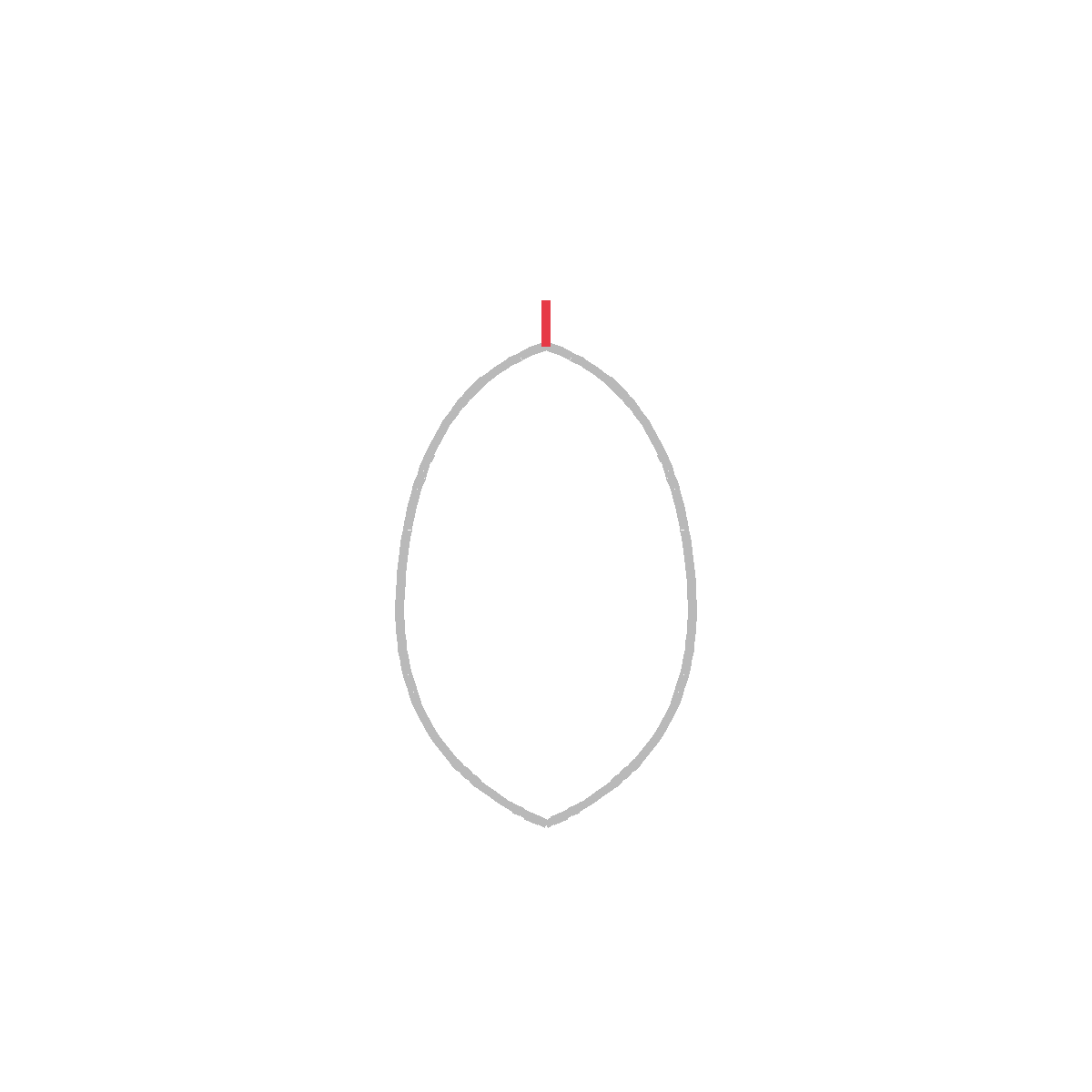 How to Draw an Avocado — step 2