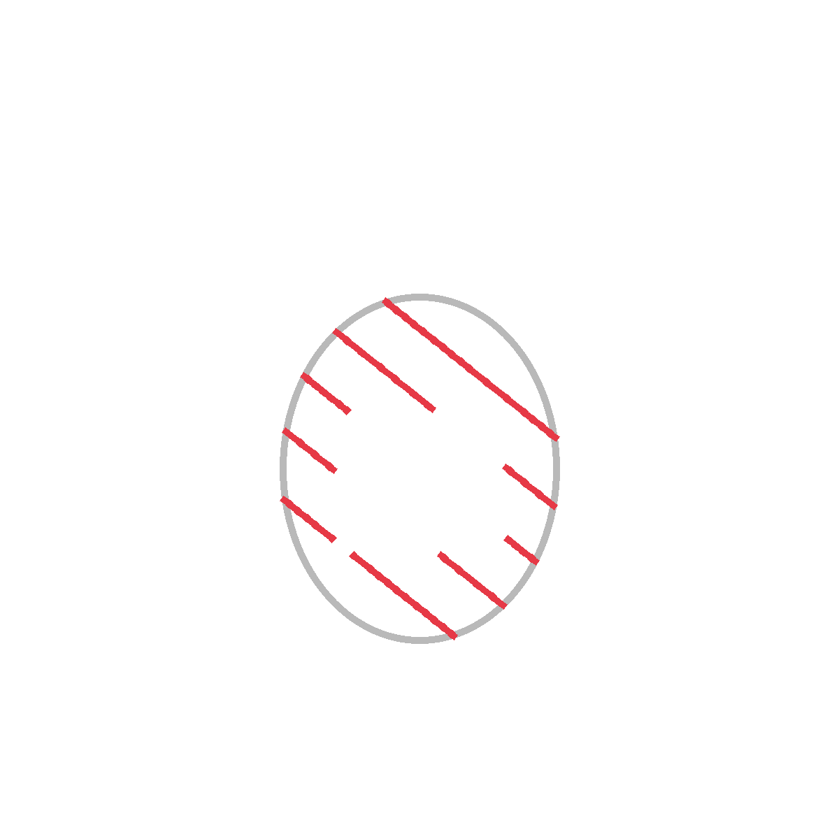 How to Draw a Pineapple — step 2