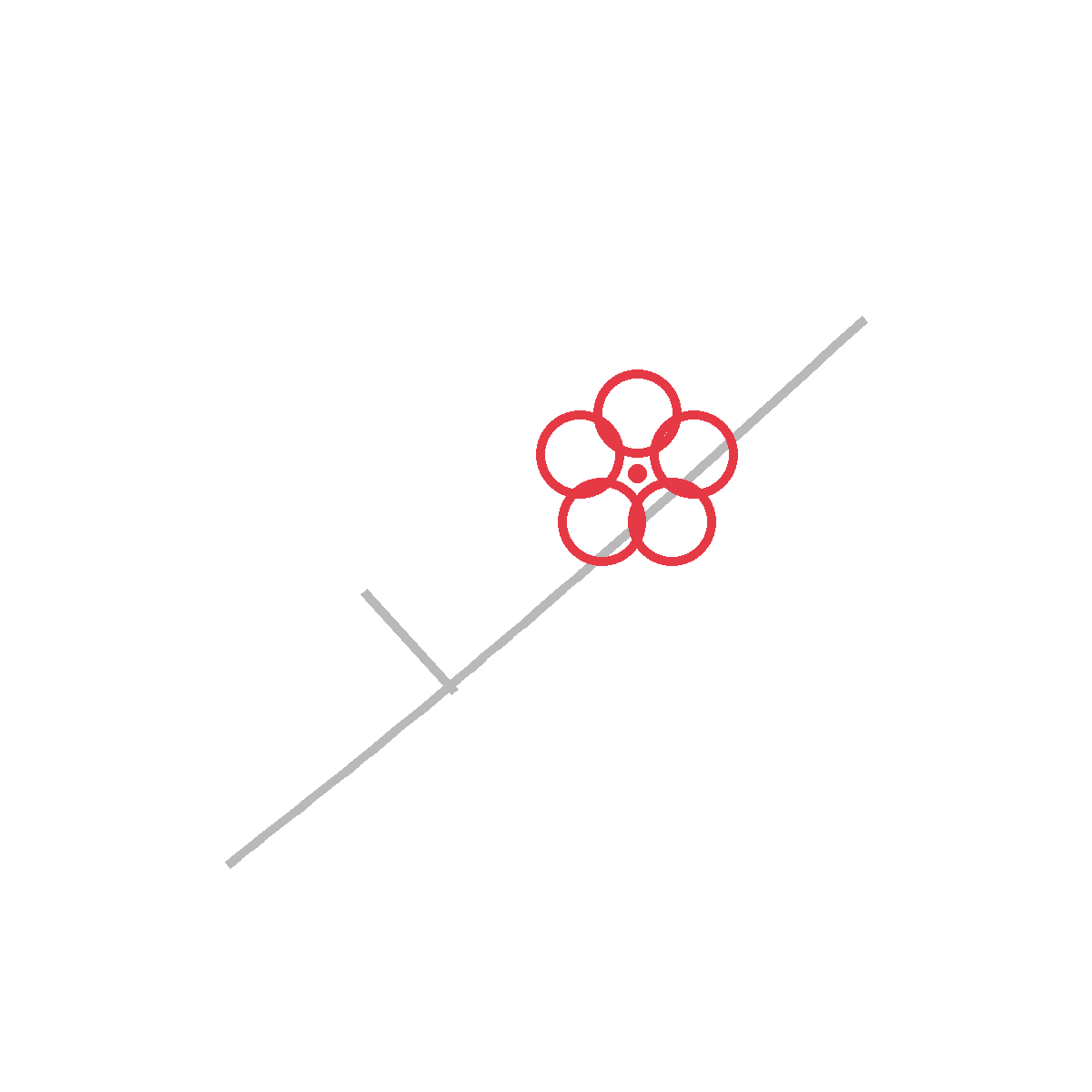 How to Draw a Cherry Blossom — step 2