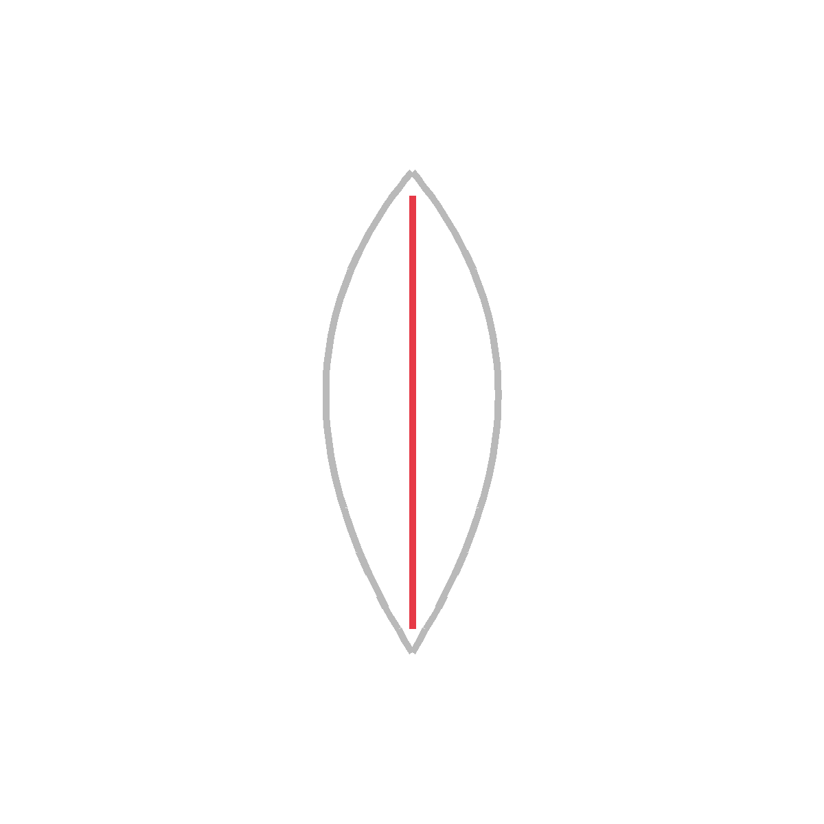 How to Draw a Leaf — step 2