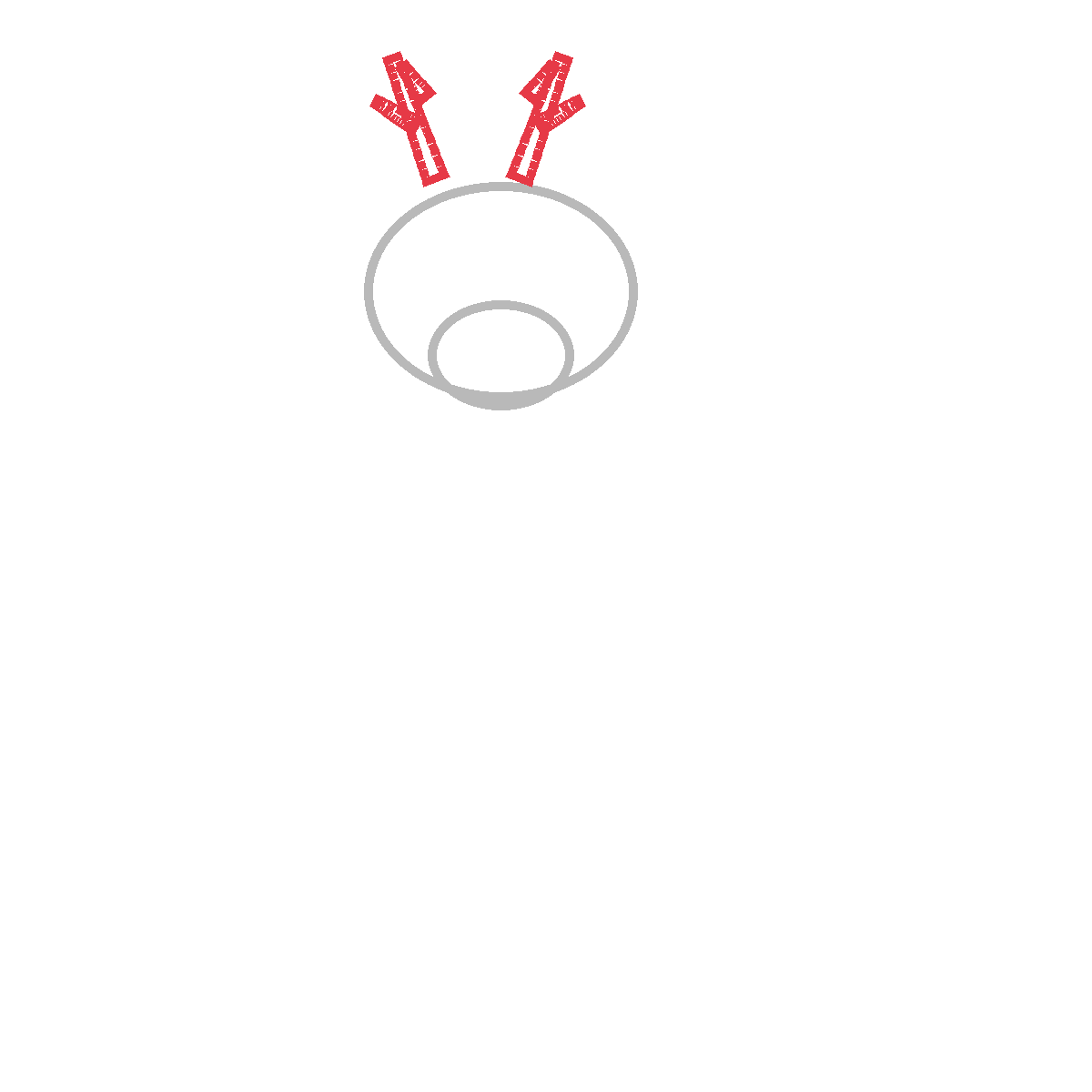 How to Draw a Frog — step 3