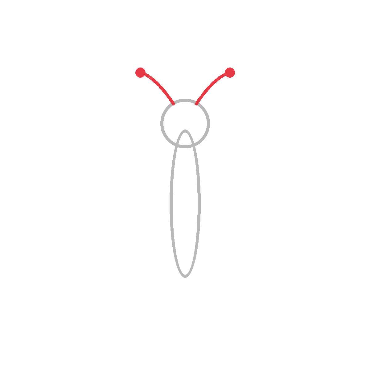 How to Draw a Butterfly — step 3