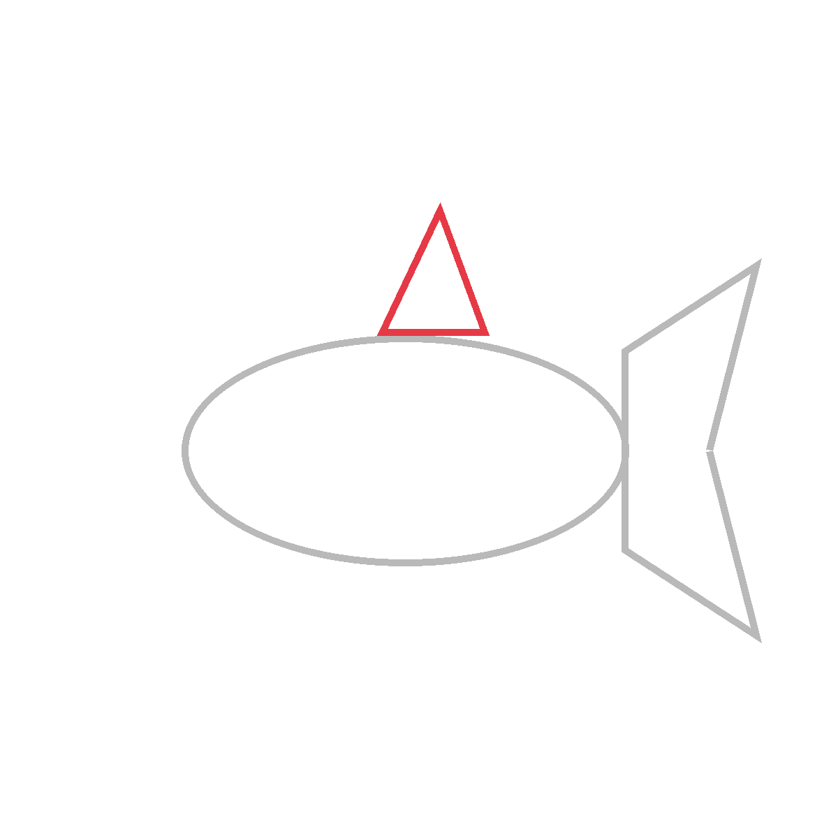 How to Draw a Shark — step 3