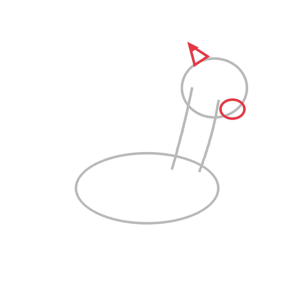 How to Draw a Zebra — step 3