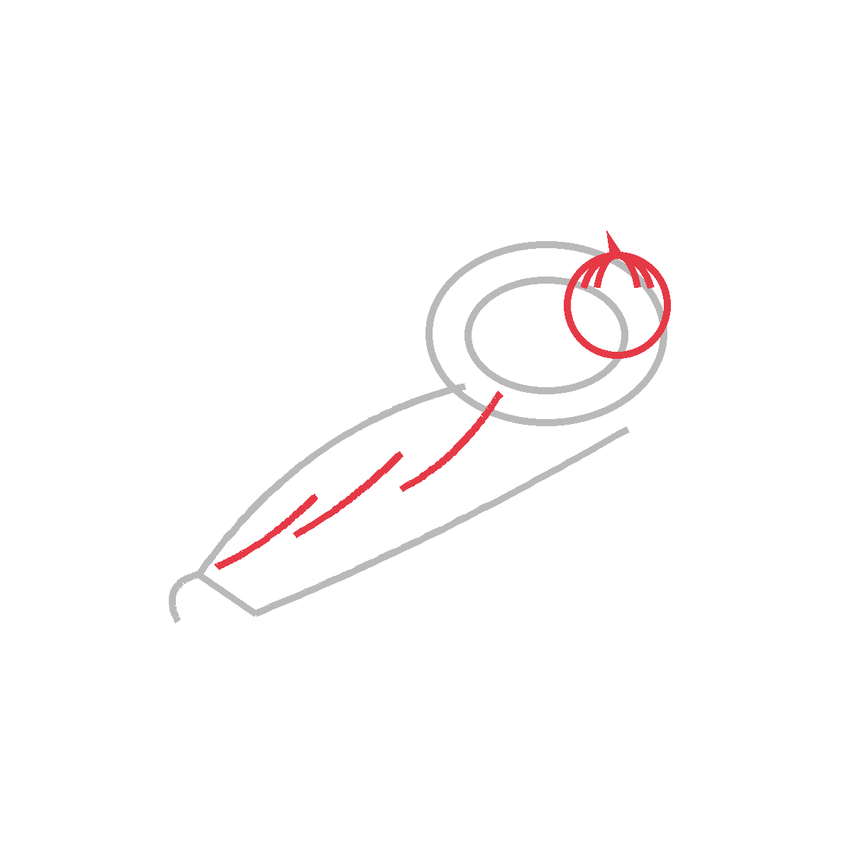 How to Draw a Cornucopia — step 3