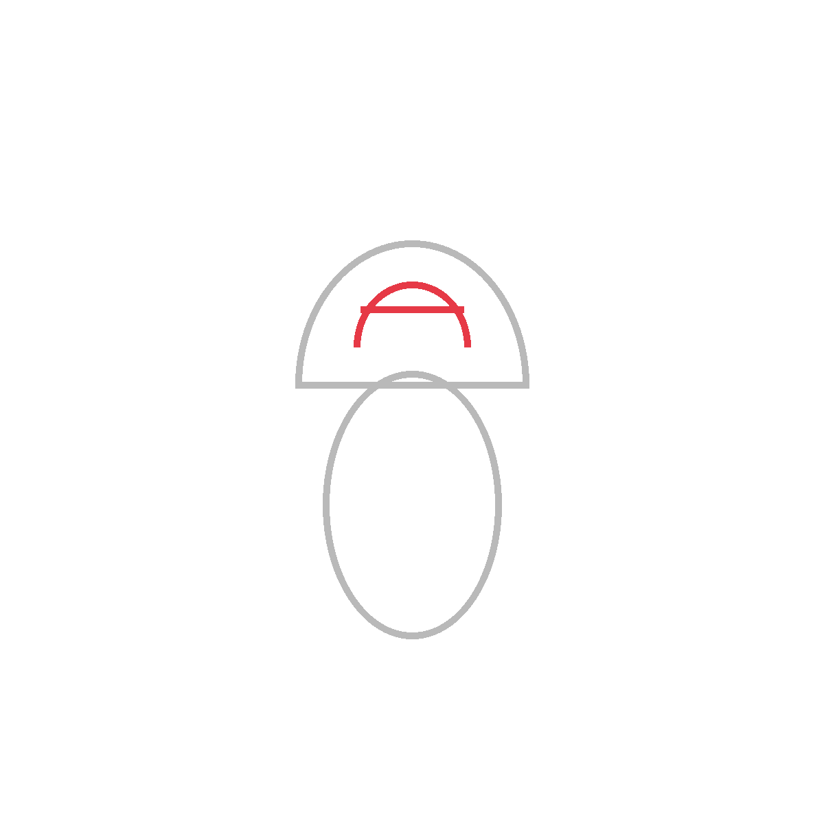 How to Draw an Acorn — step 3