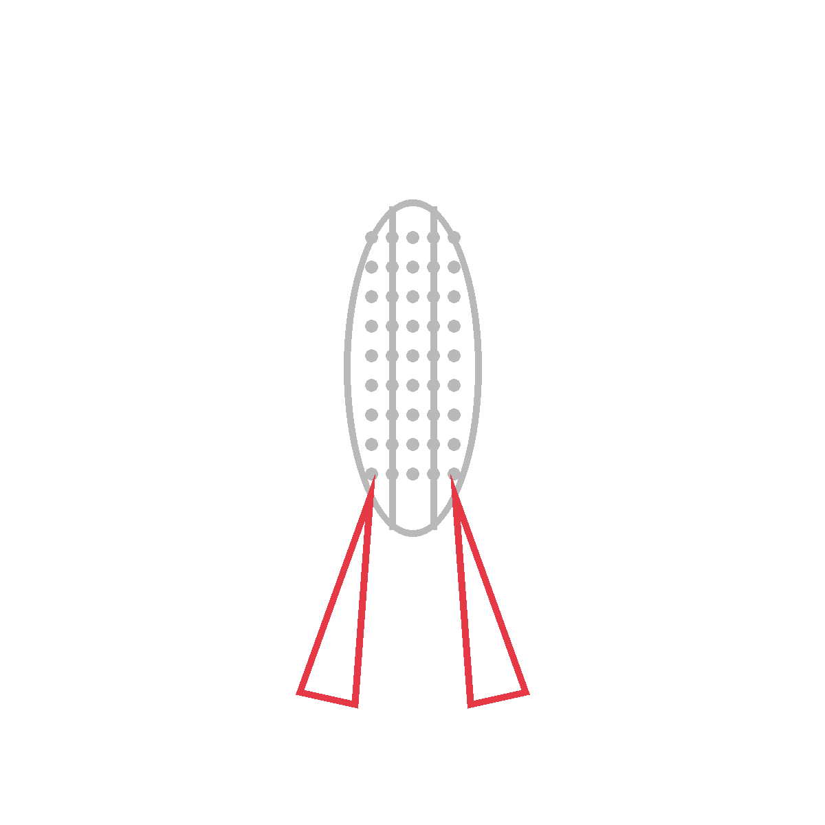 How to Draw Corn on the Cob — step 3