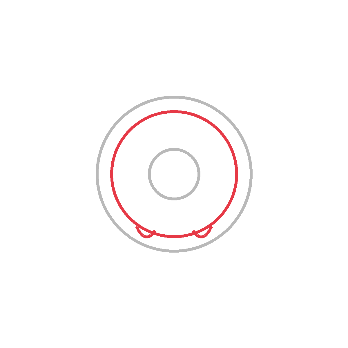 How to Draw a Donut — step 3