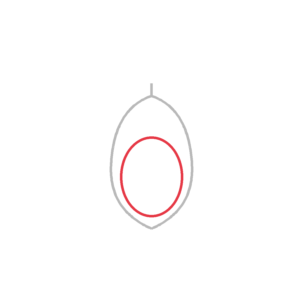How to Draw an Avocado — step 3