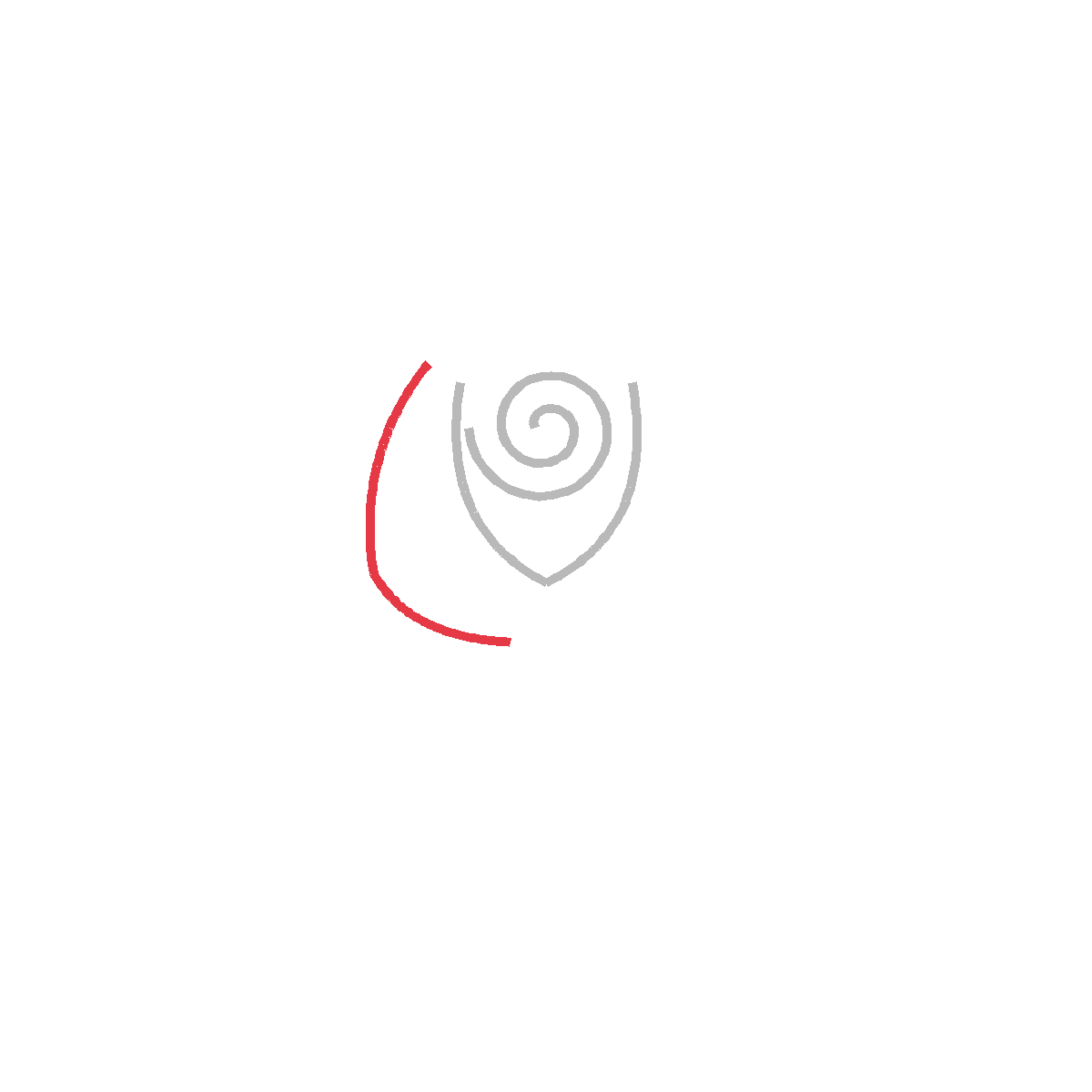 How to Draw a Rose — step 3
