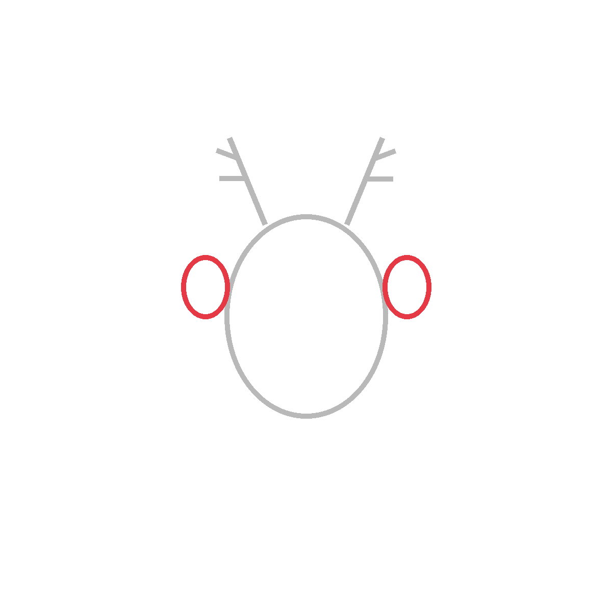 How to Draw a Reindeer — step 3
