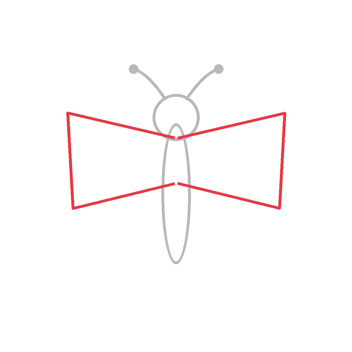 How to Draw a Butterfly — step 4