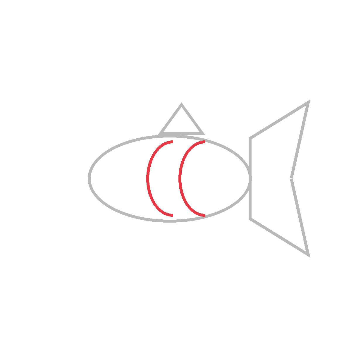 How to Draw a Fish — step 4