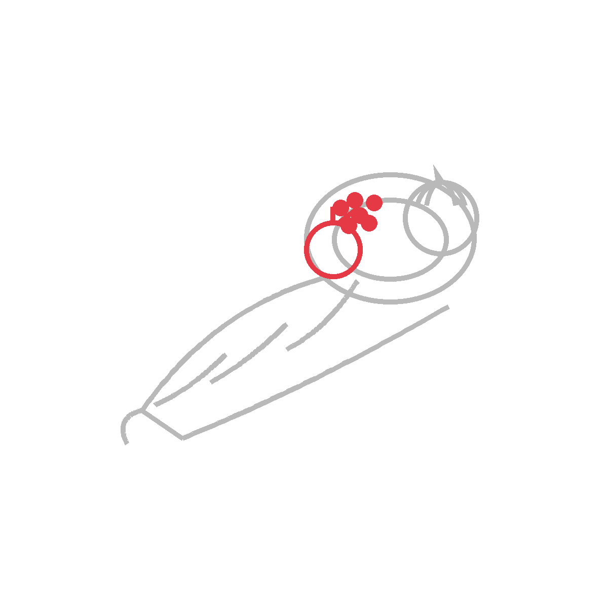 How to Draw a Cornucopia — step 4