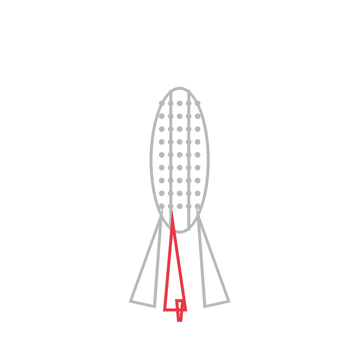 How to Draw Corn on the Cob — step 4