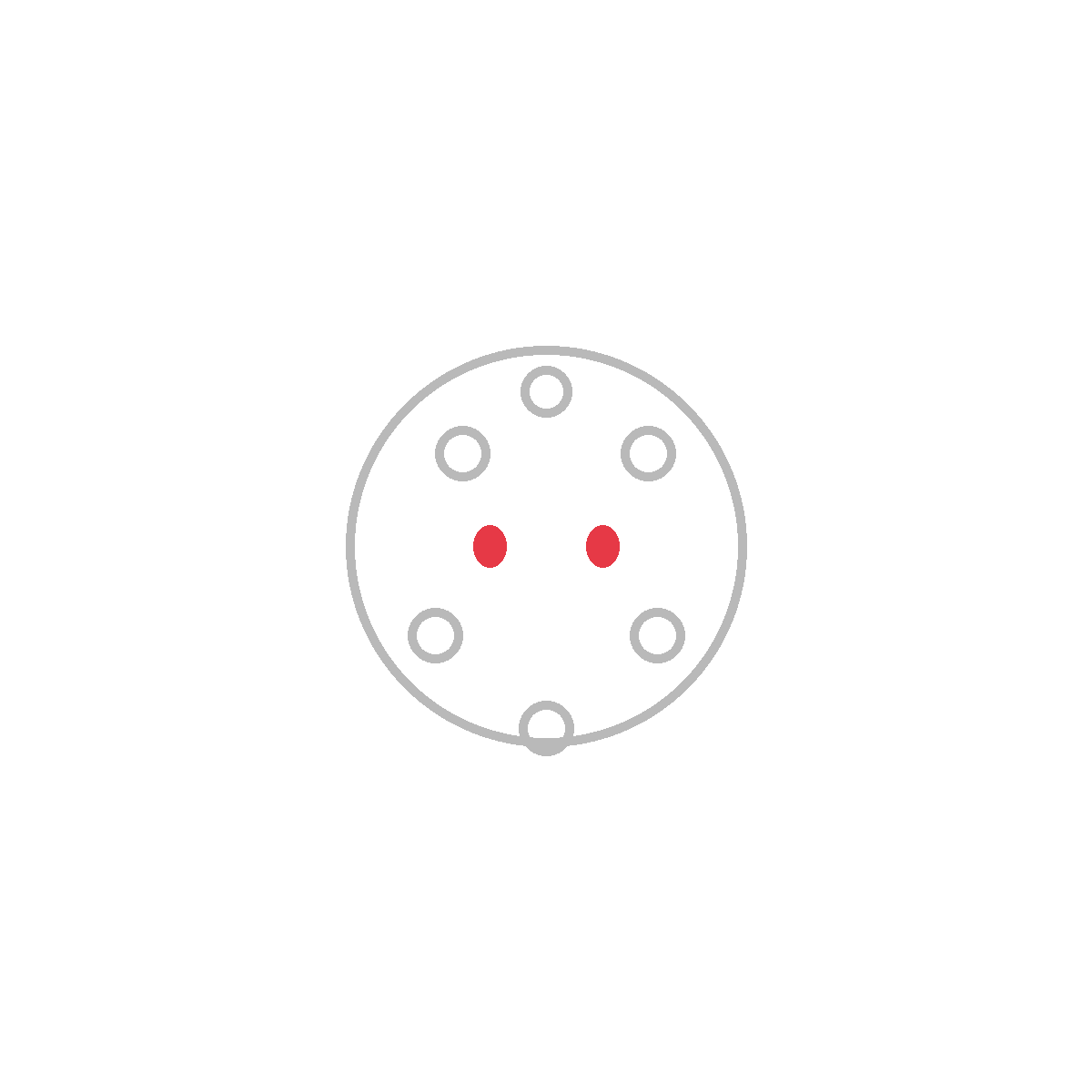 How to Draw a Cookie — step 4