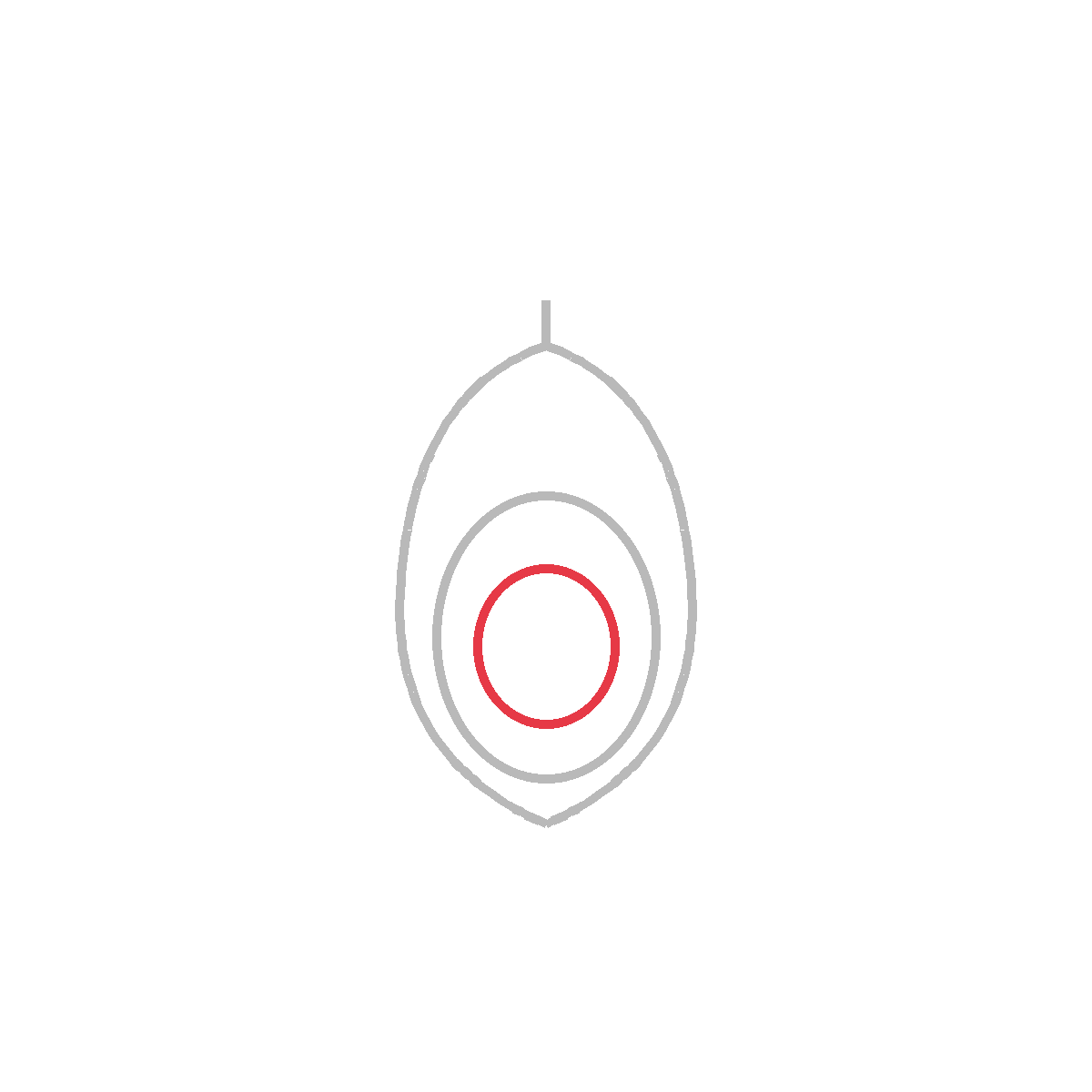 How to Draw an Avocado — step 4