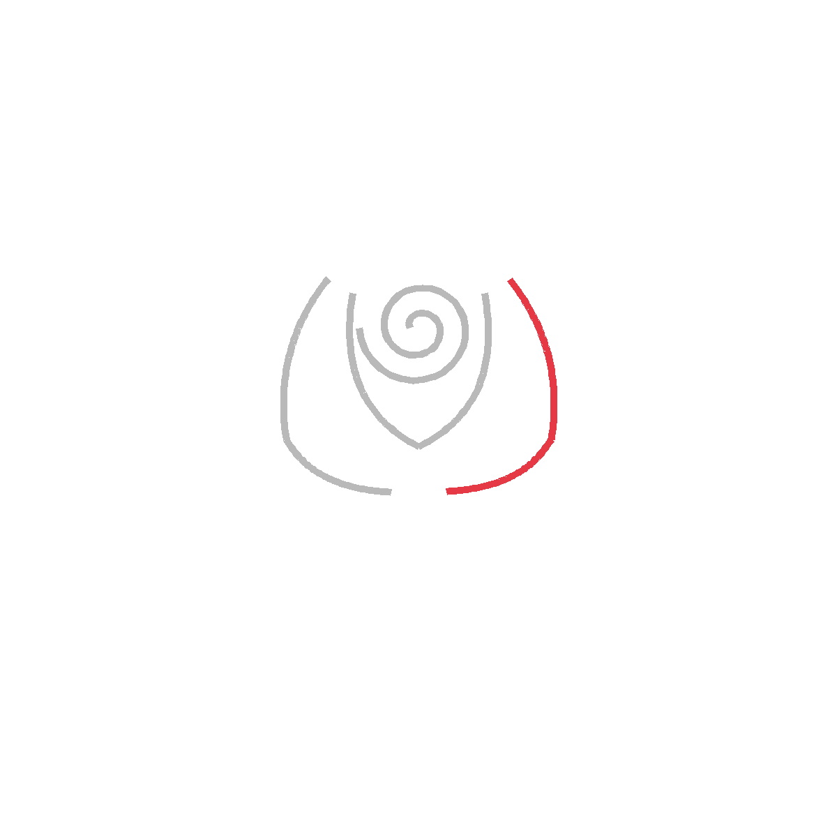 How to Draw a Rose — step 4