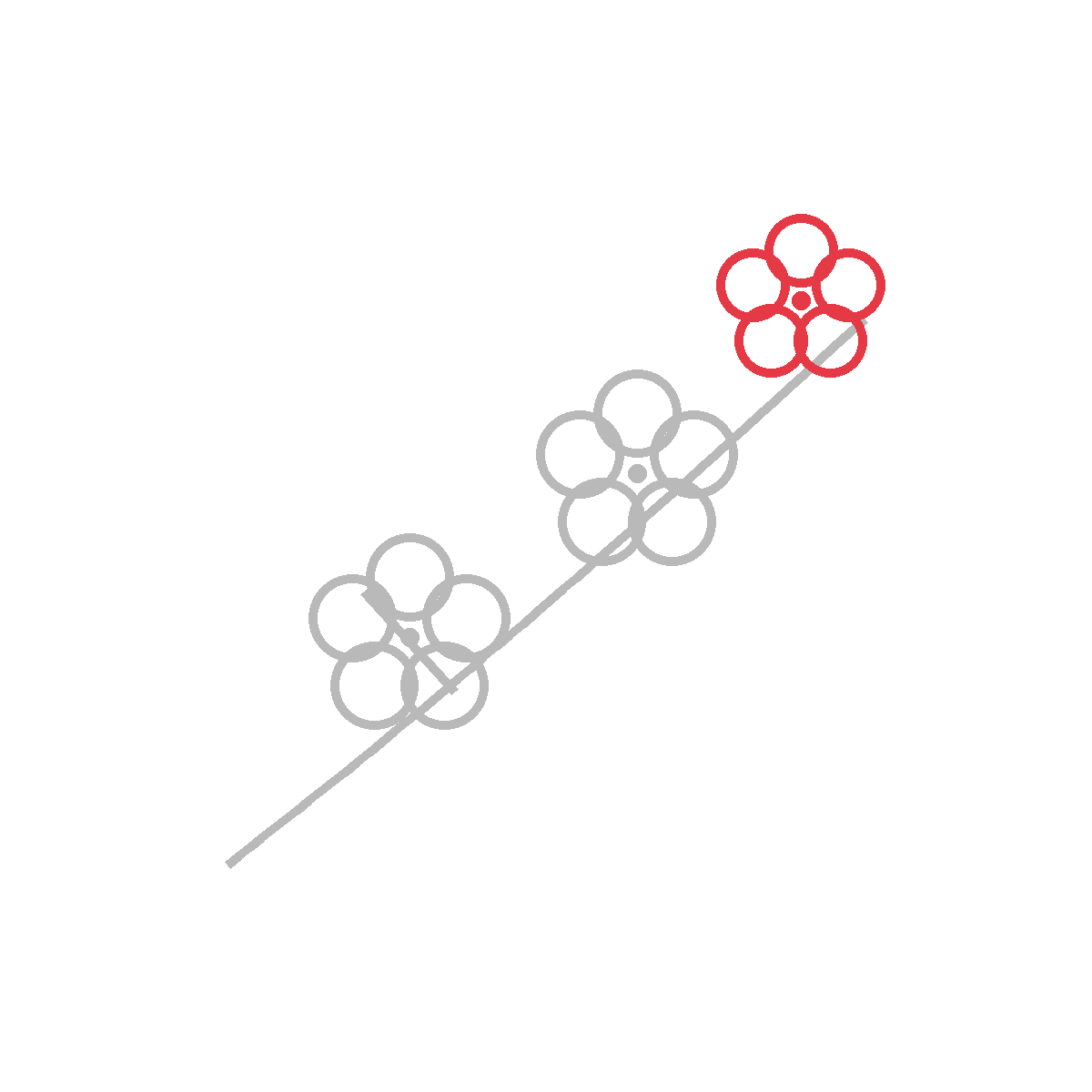 How to Draw a Cherry Blossom — step 4