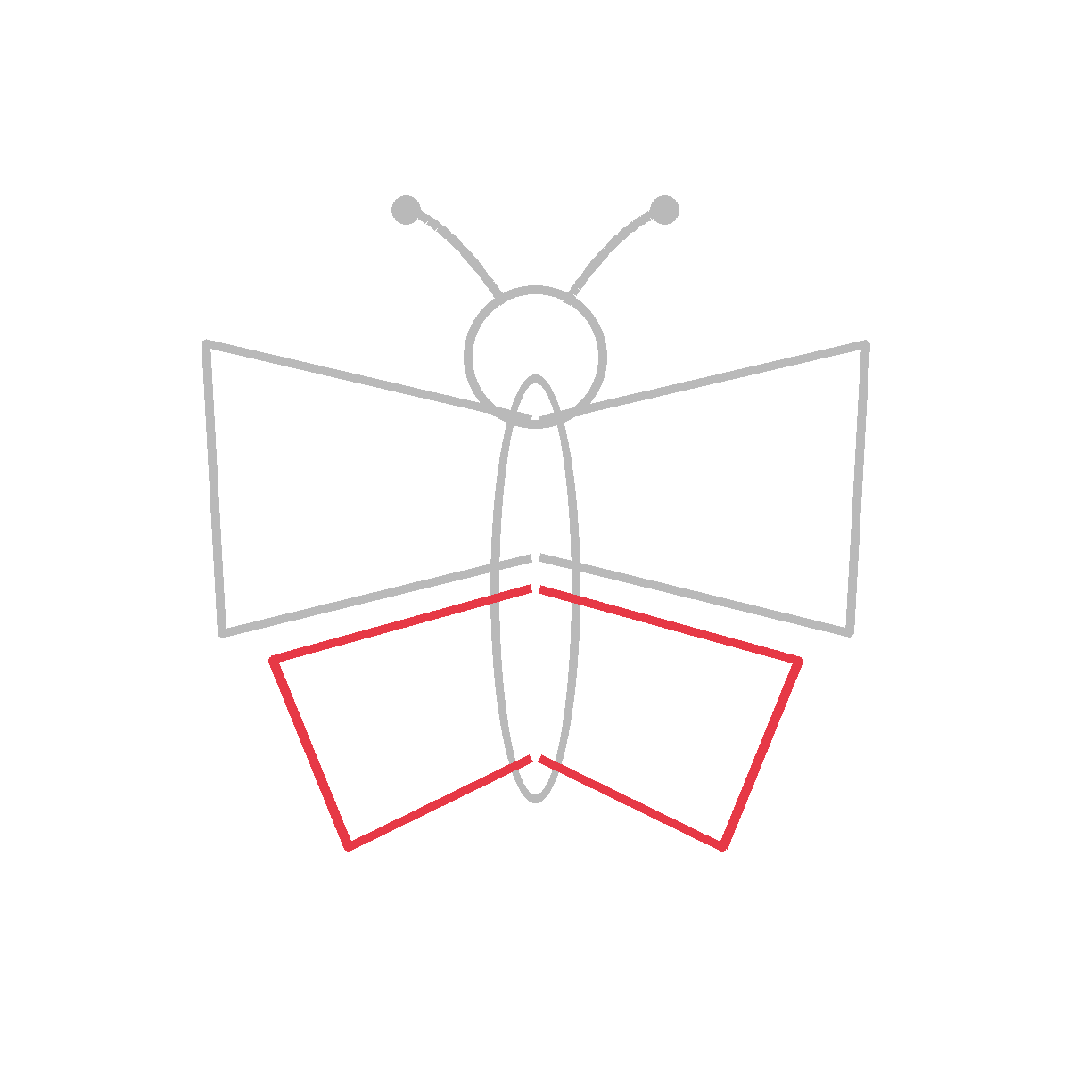How to Draw a Butterfly — step 5