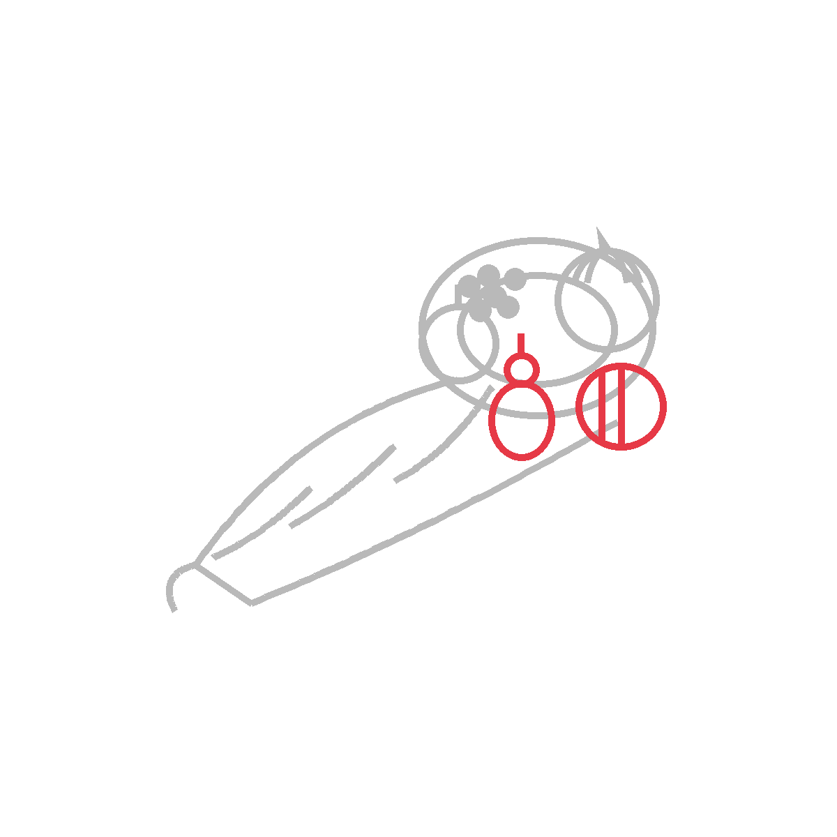 How to Draw a Cornucopia — step 5