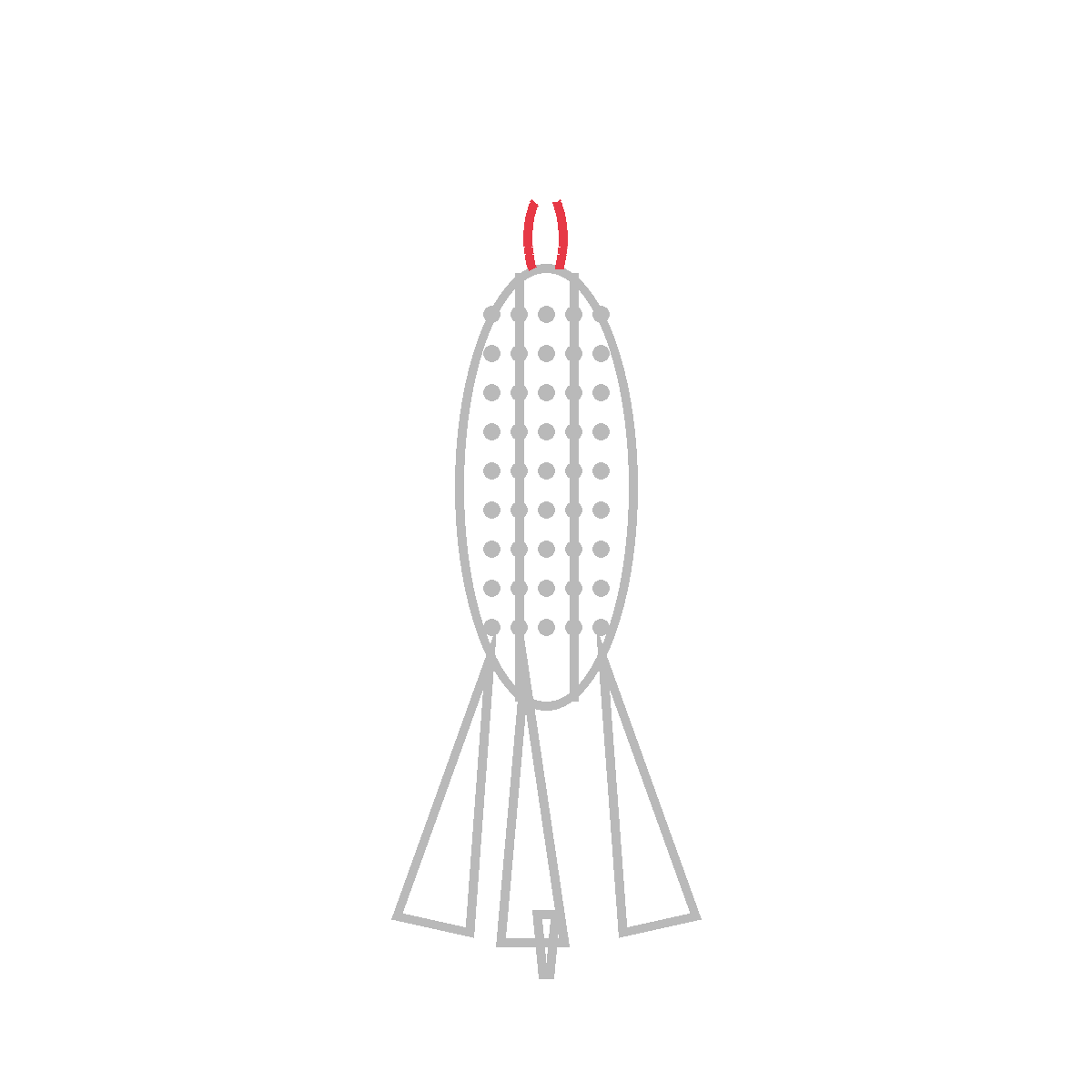How to Draw Corn on the Cob — step 5
