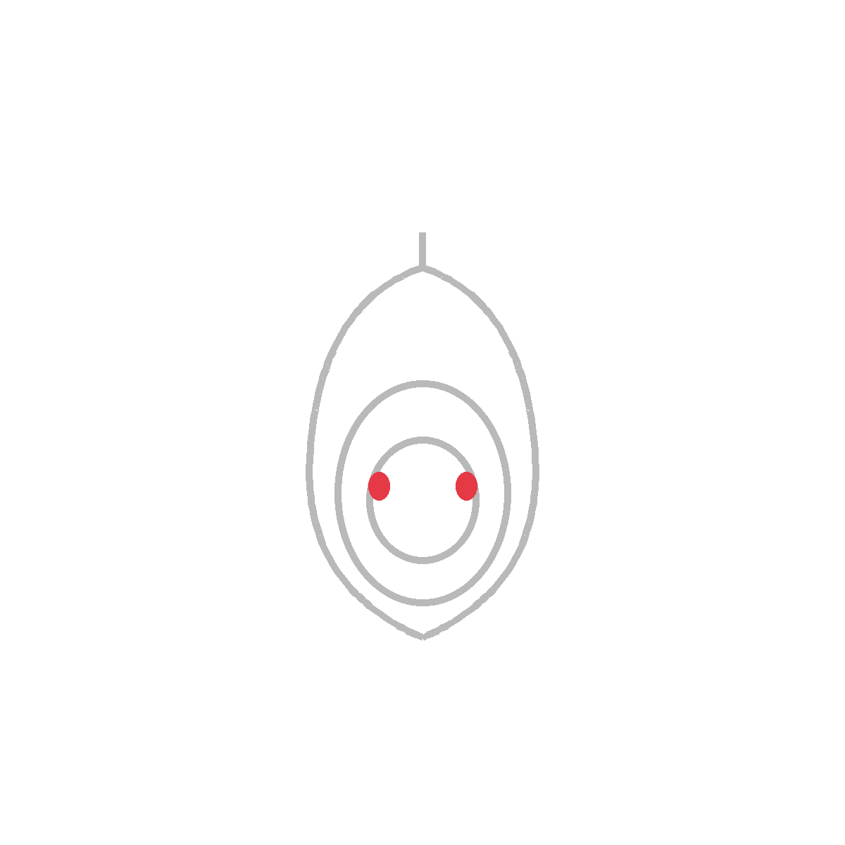How to Draw an Avocado — step 5