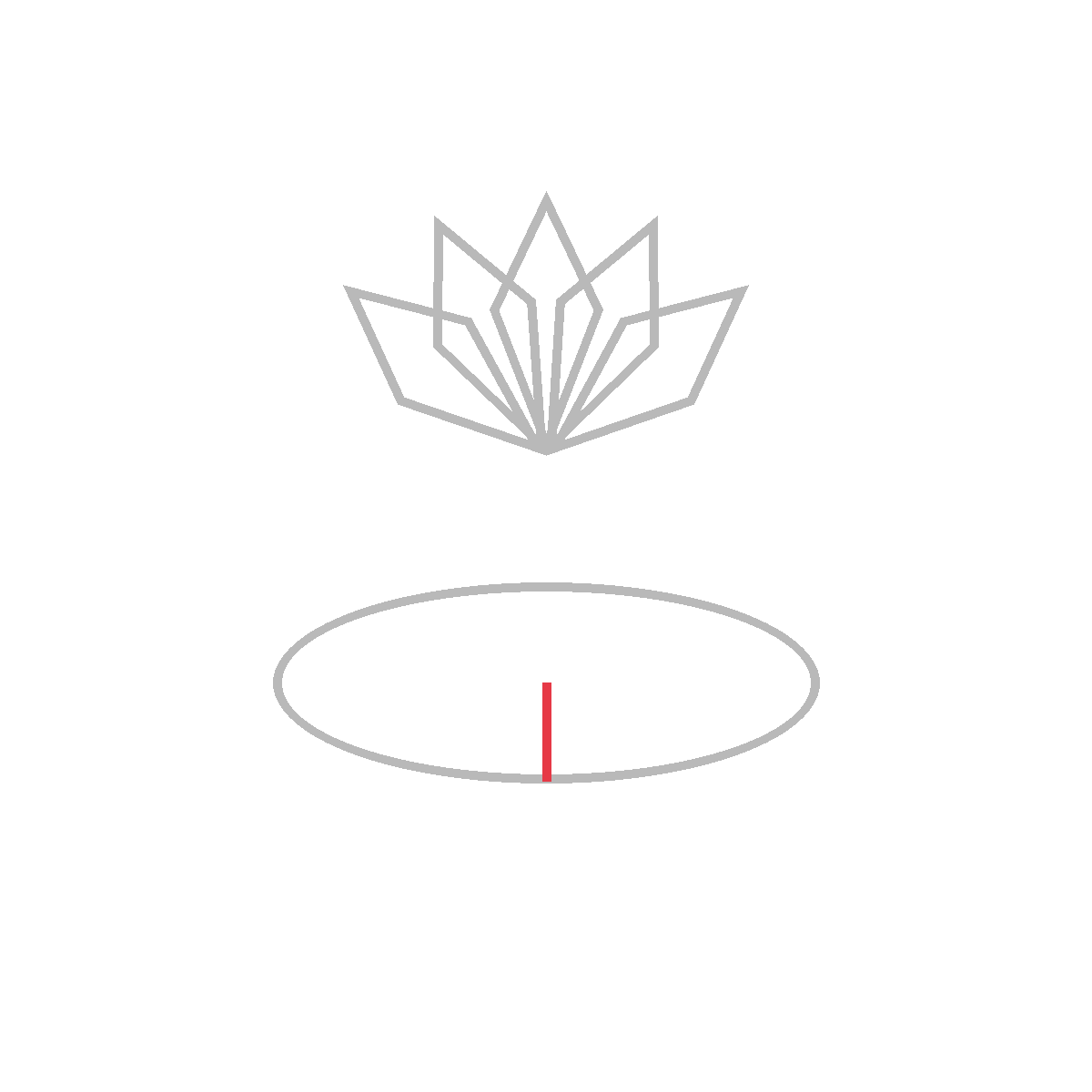 How to Draw a Lotus — step 5
