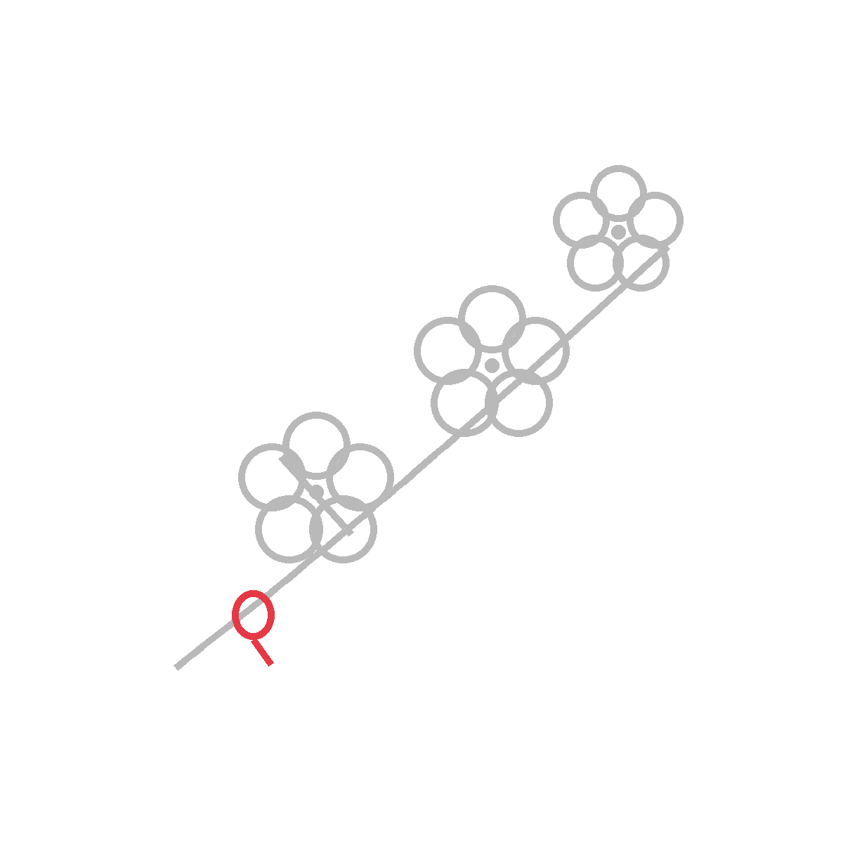 How to Draw a Cherry Blossom — step 5