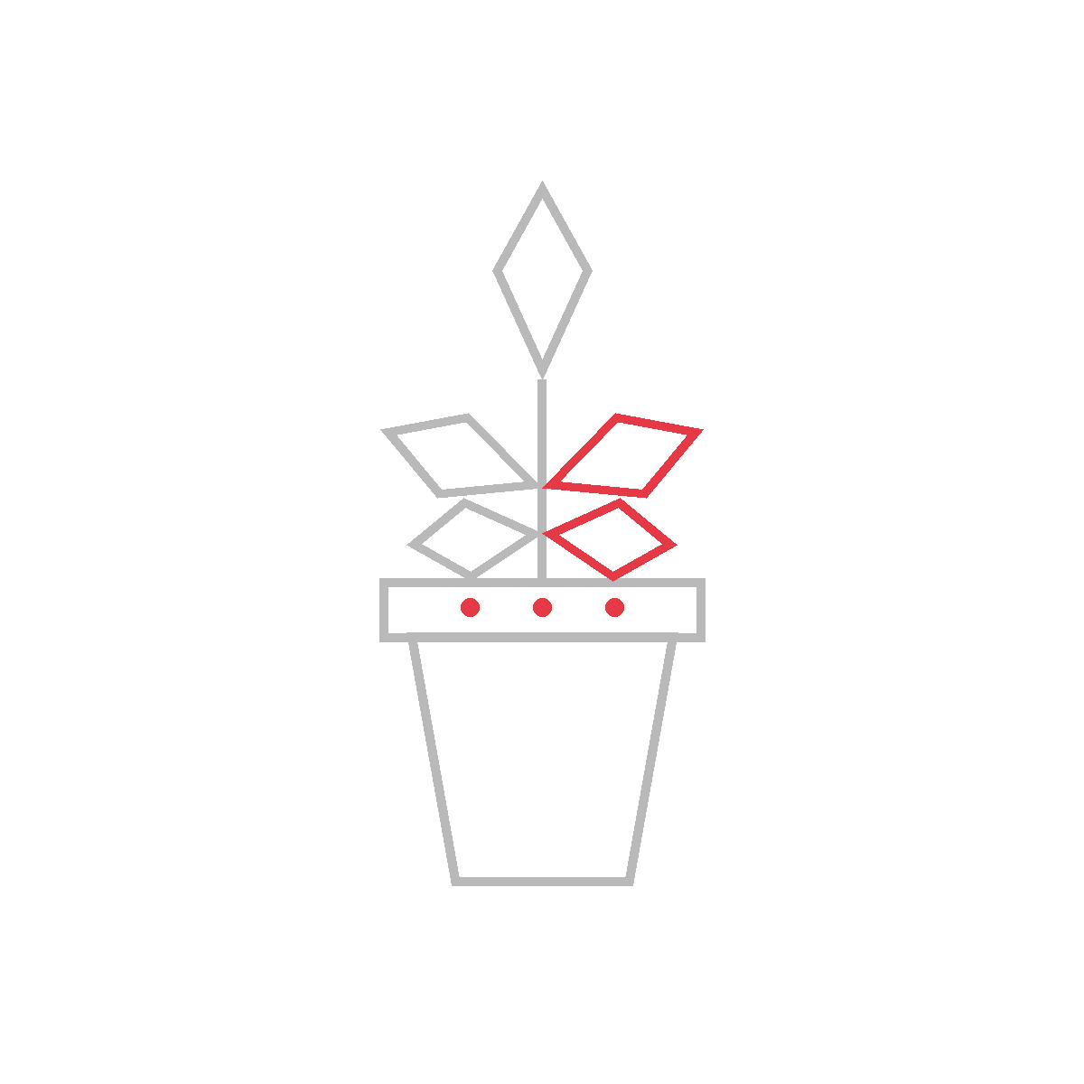 How to Draw a Potted Plant — step 5