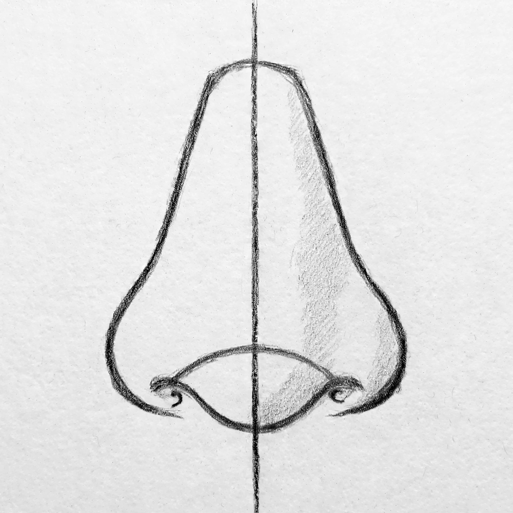 How to Draw a Nose — step 7