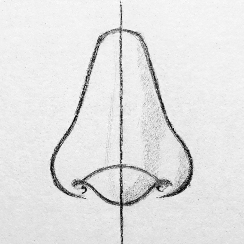 How to Draw a Nose — step 8