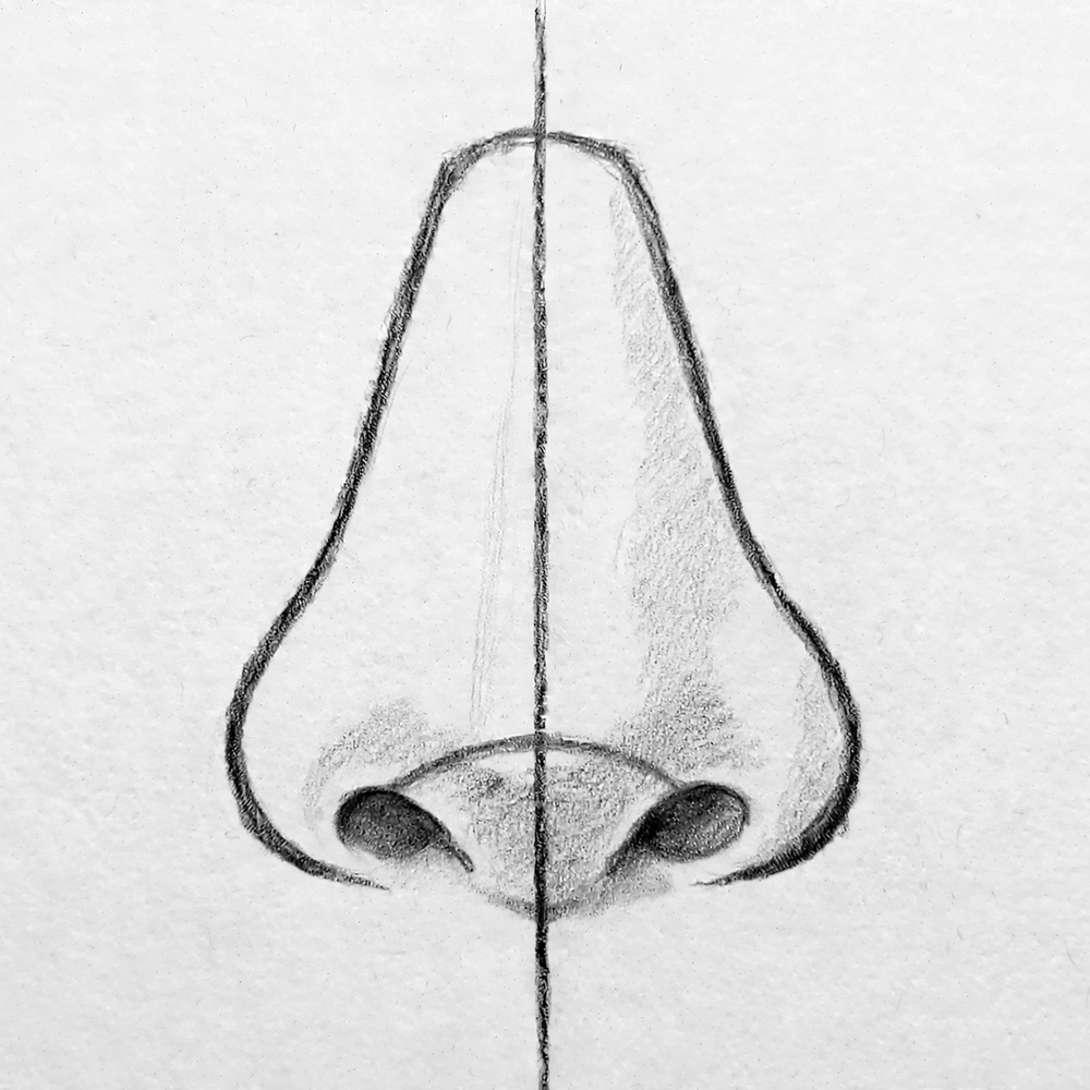 How to Draw a Nose — step 9
